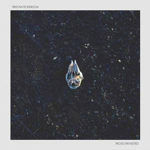 漫画比翼鸟少女大全在线观看
