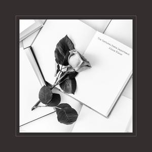 漫画比翼鸟少女大全在线观看
